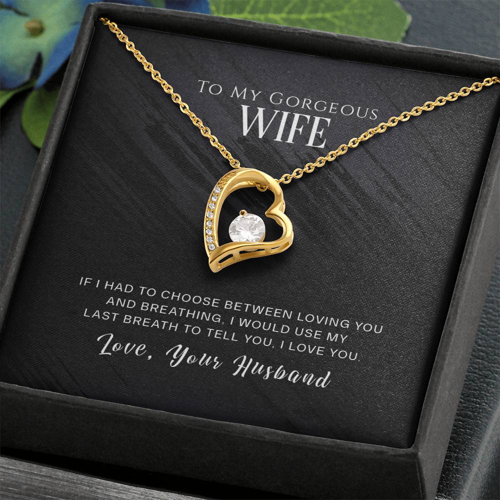 To my gorgeous wife - If I had to choose - Forever Love Necklace